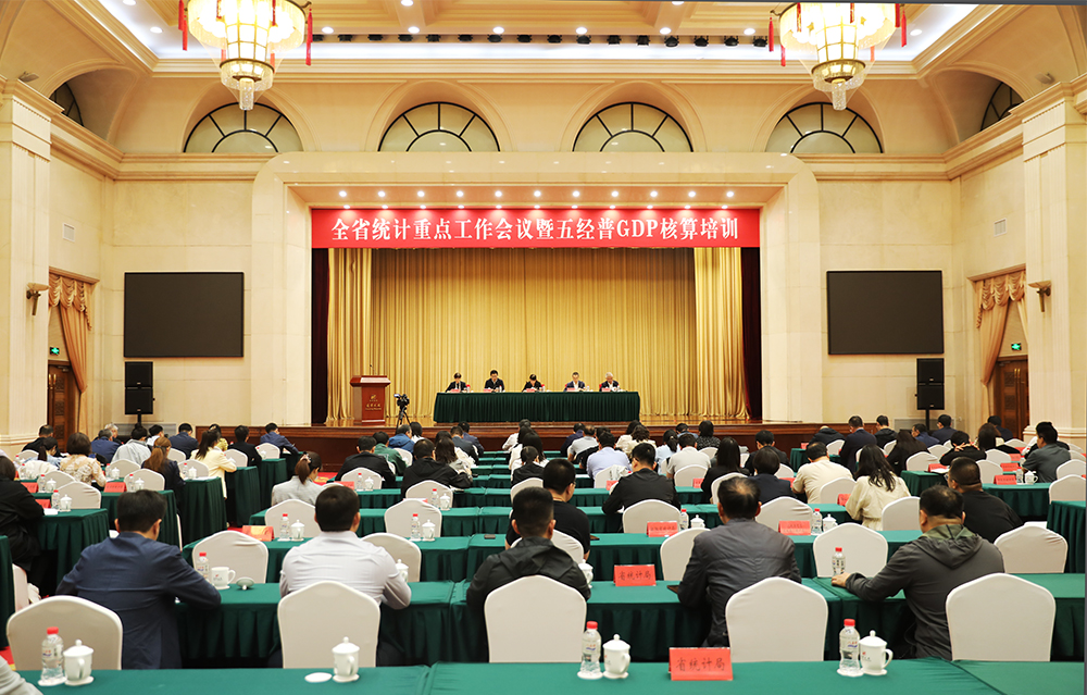 做爱电影统计重点工作会议暨五经普GDP核算培训会议在沈召开